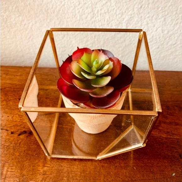Boho Succulent Terrarium Planter - Picture 2 of 5